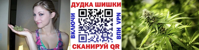 где купить наркотик  Заринск  ОМГ ОМГ как войти  маркетплейс клад  Каннабис Amnesia 